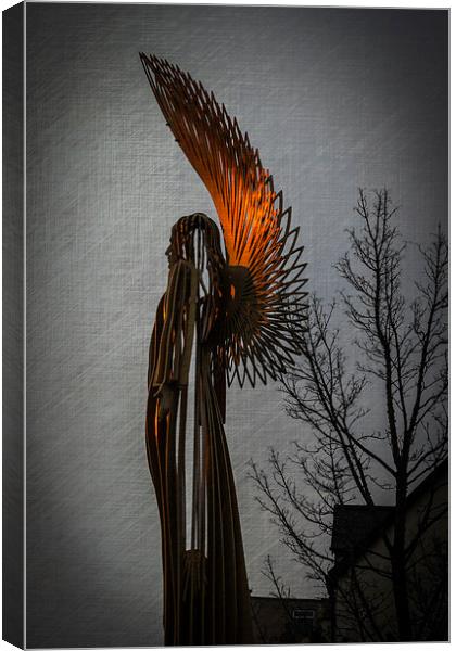 Angel In The Morning Canvas Print by Steve Purnell