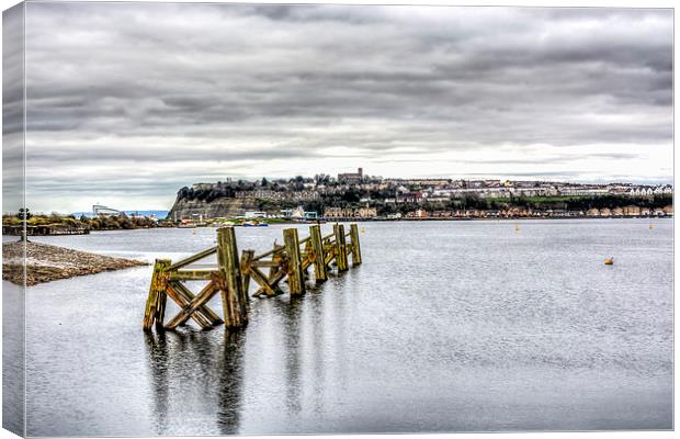 Cardiff Bay 1 Canvas Print by Steve Purnell