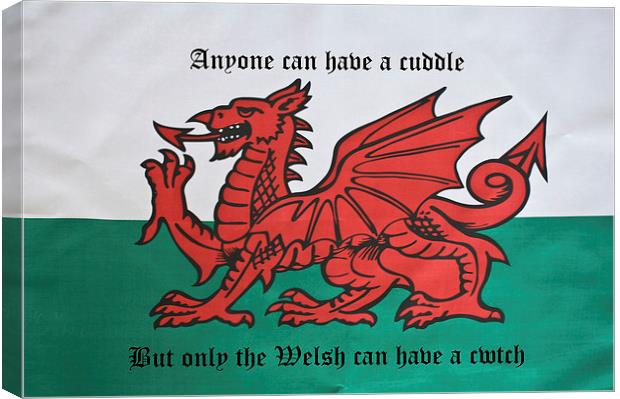 Only The Welsh Can Cwtch Canvas Print by Steve Purnell