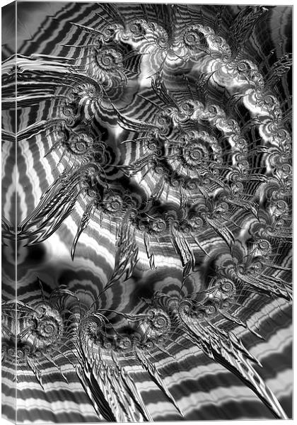 Spiral In Black And White Canvas Print by Steve Purnell