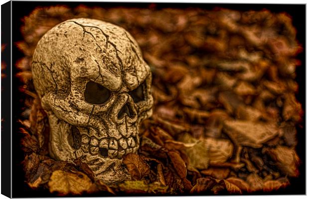 Halloween Skull 1 Canvas Print by Steve Purnell