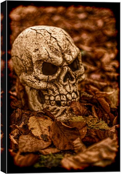 Halloween Skull 2 Canvas Print by Steve Purnell