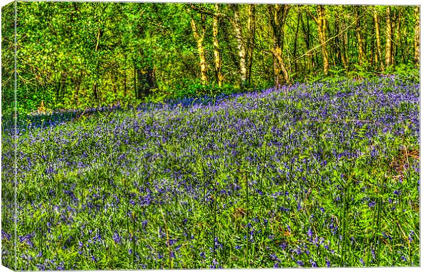 Bluebell Woods Painterly Canvas Print by Steve Purnell