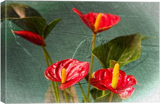 Flamingo Flowers 2 Canvas Print by Steve Purnell
