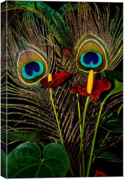 Birds Of A Feather 1 Canvas Print by Steve Purnell