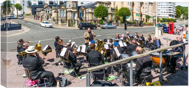 Brass Band Panorama Canvas Print by Steve Purnell