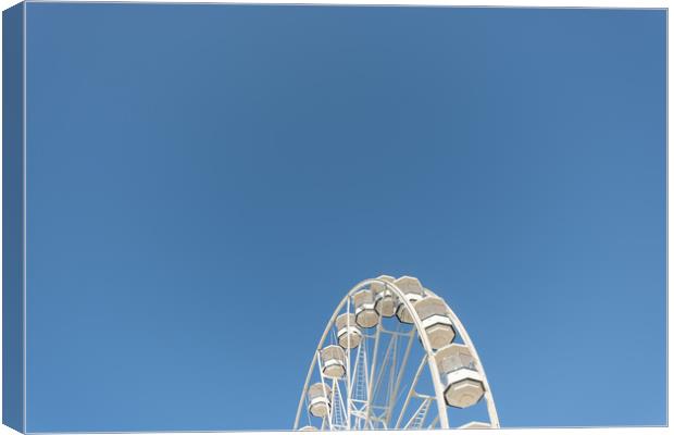 High In The Blue Sky 1 Canvas Print by Steve Purnell