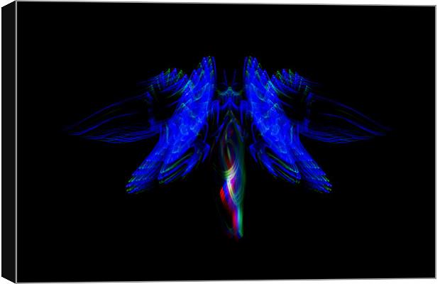 The Light Moth Canvas Print by Steve Purnell