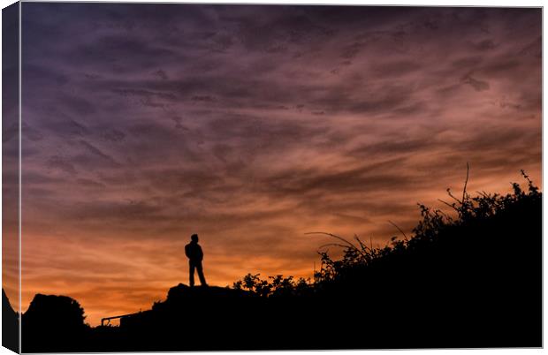 Pensive Sunset Canvas Print by Steve Purnell