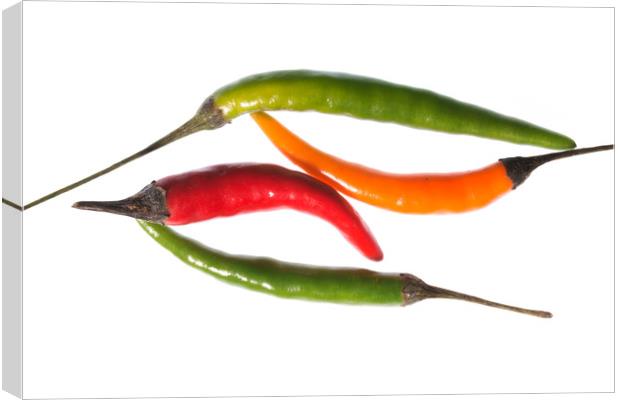 Chilli Mix 2 Canvas Print by Steve Purnell