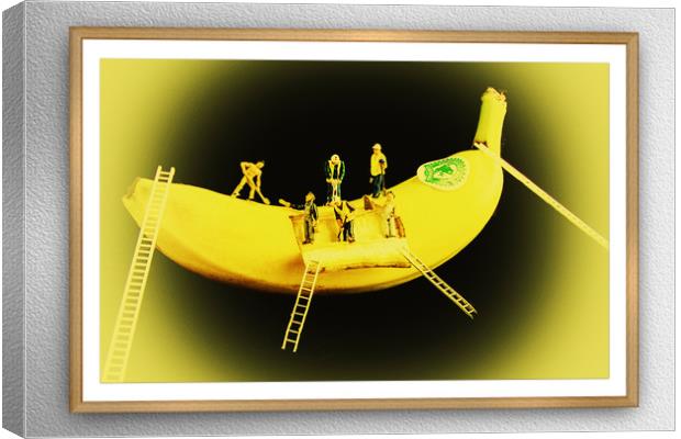 Banana Boat Mining Company Wood Frame Canvas Print by Steve Purnell