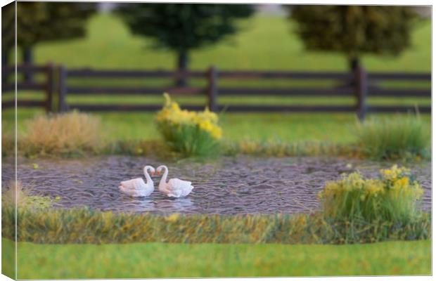 Swan Lake Canvas Print by Steve Purnell