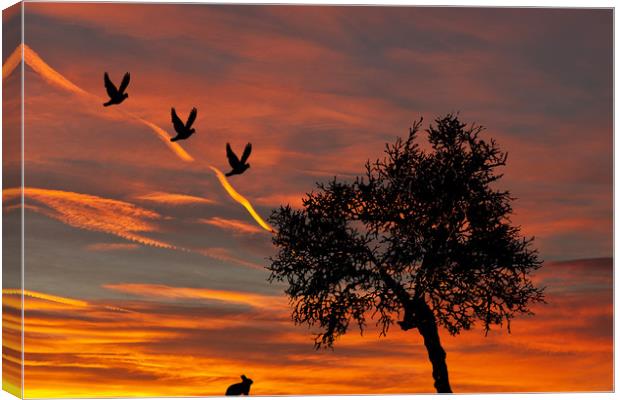 Natures Sunrise Canvas Print by Steve Purnell
