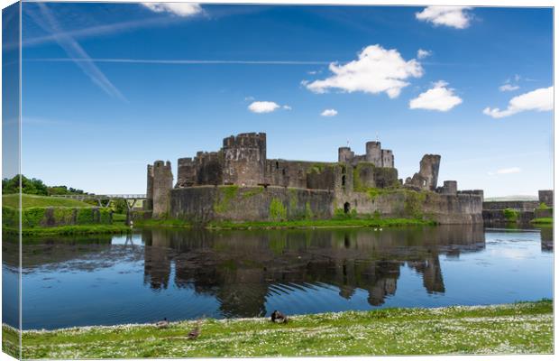 Spring At Caerphilly Castle 1 Canvas Print by Steve Purnell
