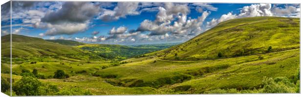 Brecon Beacons Panorama Canvas Print by Steve Purnell