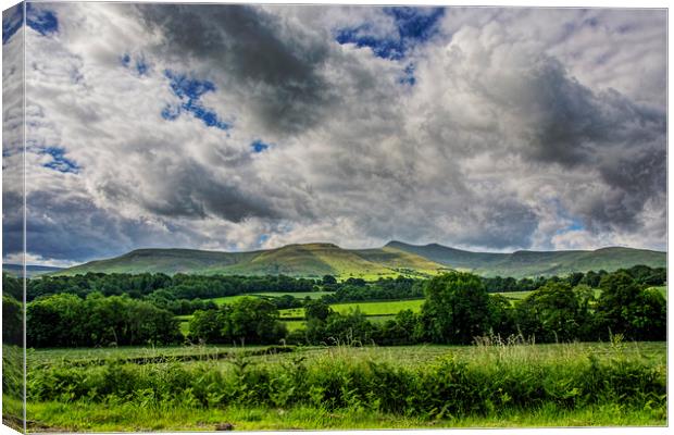 Penyfan View Canvas Print by Steve Purnell
