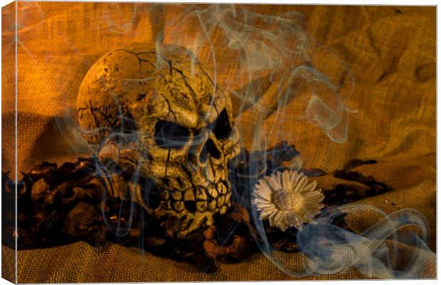 Skull Smoke And Flowers Canvas Print by Steve Purnell