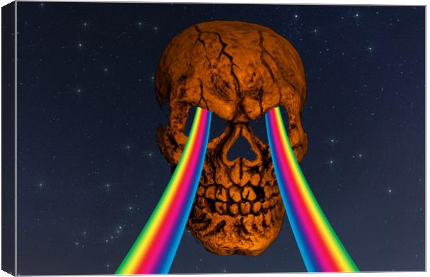 Dark Side Of The Skull Canvas Print by Steve Purnell