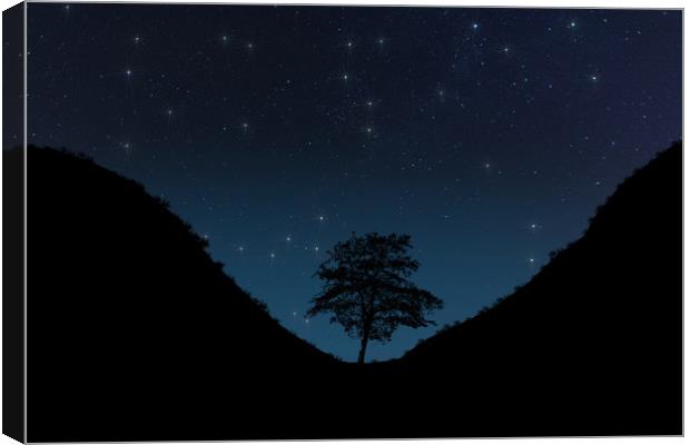 Sycamore Gap Night Sky Digital Canvas Print by Steve Purnell