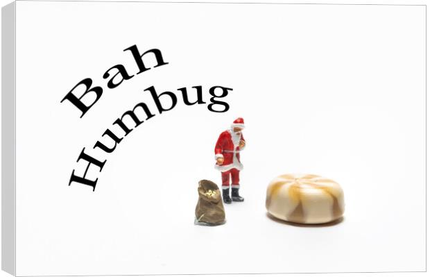 Bah Humbug Canvas Print by Steve Purnell
