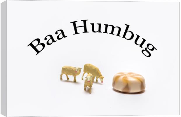 Baa Humbug Canvas Print by Steve Purnell