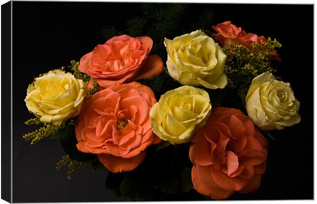 Roses Canvas Print by Steve Purnell