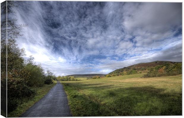Dare Country Park Canvas Print by Steve Purnell