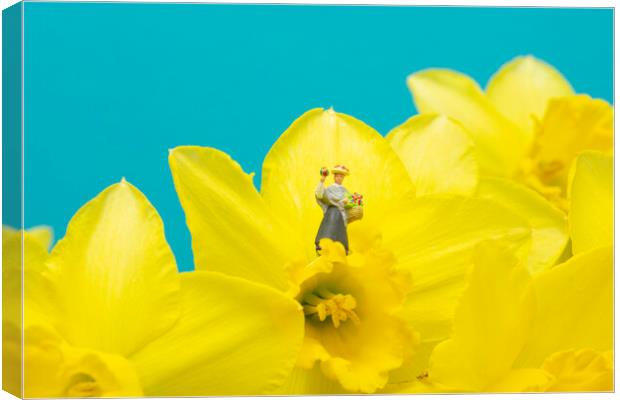 The Flower Lady With Daffodils 2 Canvas Print by Steve Purnell