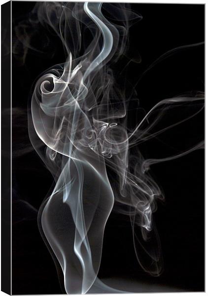 Smoke Trails Canvas Print by Steve Purnell
