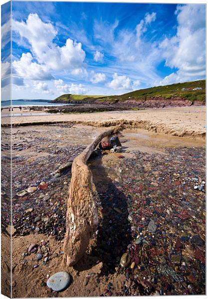 Manorbier Beach, Pembrokeshire 2 Canvas Print by Steve Purnell