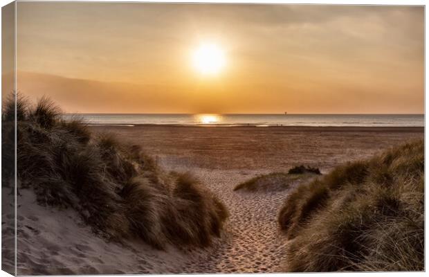 Sunset Through The Sand Dunes Canvas Print by Roger Green