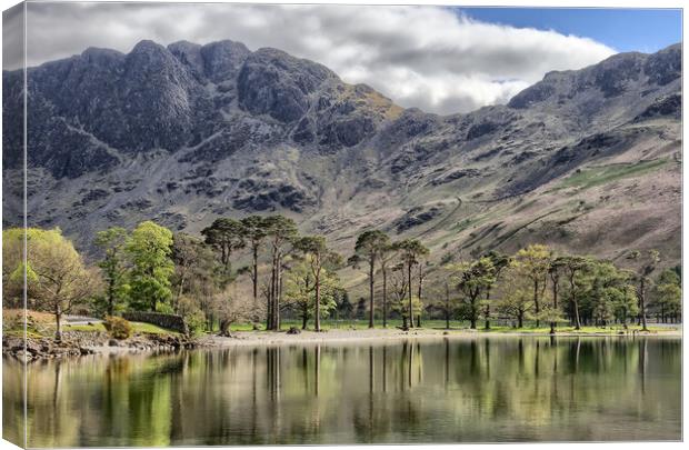 Buttermere Pines Canvas Print by Roger Green