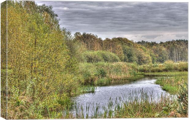 Mere Sands Canvas Print by Roger Green