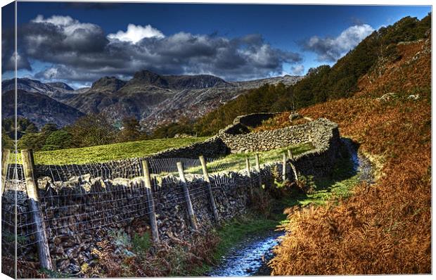 Path to Loughrigg Tarn Canvas Print by Roger Green
