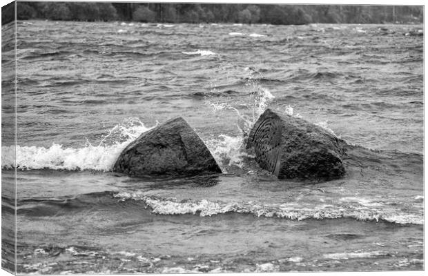 Centenary Stone on a Windy Day Canvas Print by Roger Green