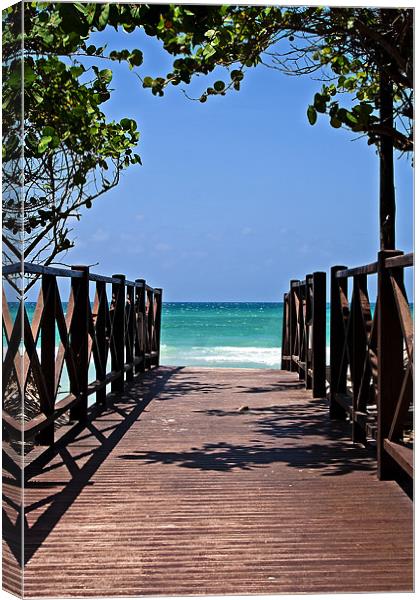 Pathway to Paradise Canvas Print by Roger Green
