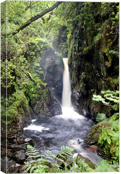 Stanley Ghyll Force Canvas Print by Roger Green