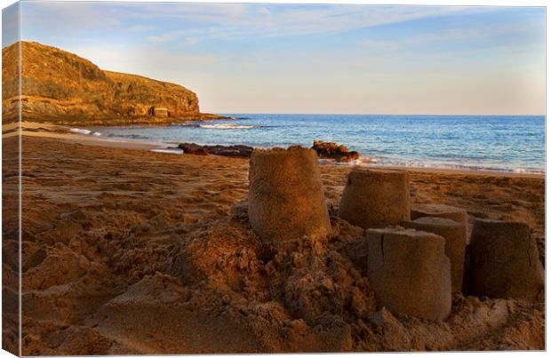Last Sandcastle Canvas Print by Roger Green