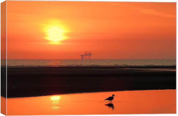 Ainsdale Sunset Canvas Print by Roger Green