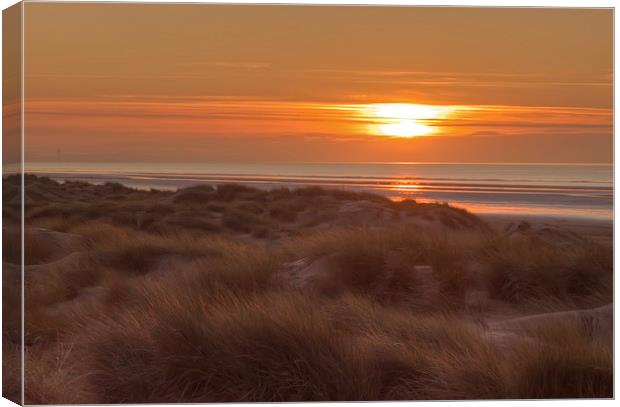 Setting Sun Canvas Print by Roger Green