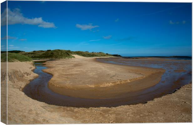 Embleton Bay Beach Canvas Print by Roger Green