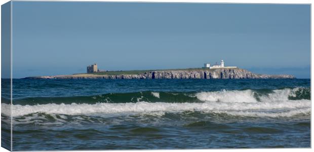 Farne Islands Canvas Print by Roger Green