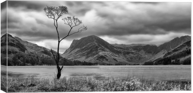 Buttermere Canvas Print by Roger Green