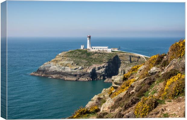 South Stack Canvas Print by Roger Green