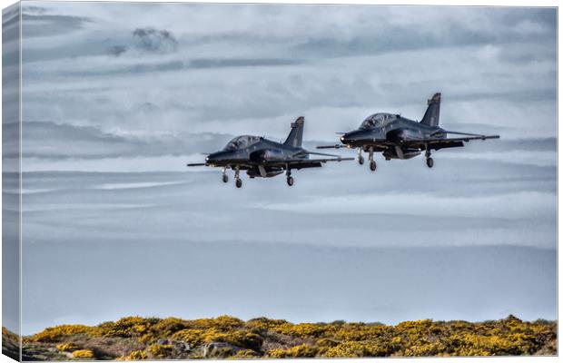 BAE T2 Hawk Aircraft Canvas Print by Roger Green