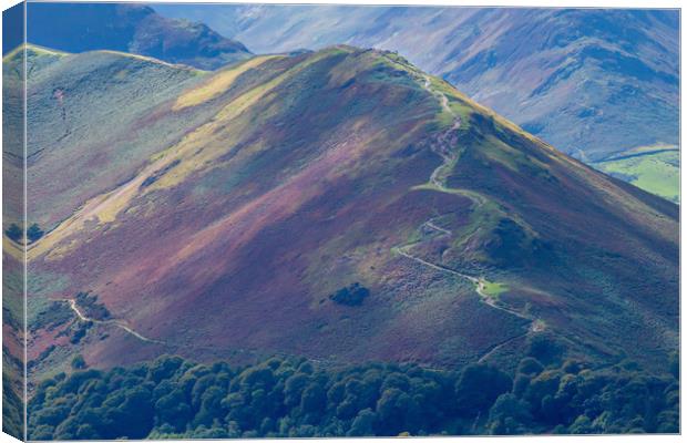 Pathway to Catbells Canvas Print by Roger Green