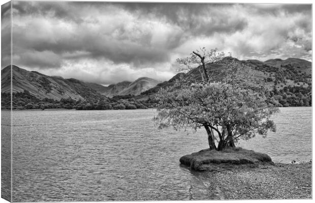 Lone Tree at Ullswater Canvas Print by Roger Green