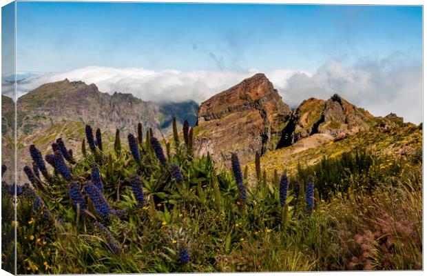 Mountains of Madeira Canvas Print by Roger Green