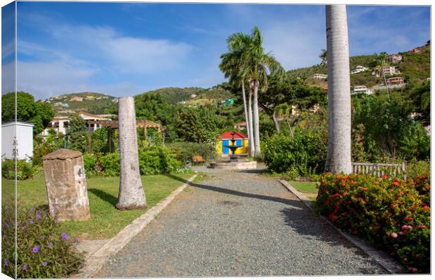 Botanic Gardens - Road Town Canvas Print by Roger Green