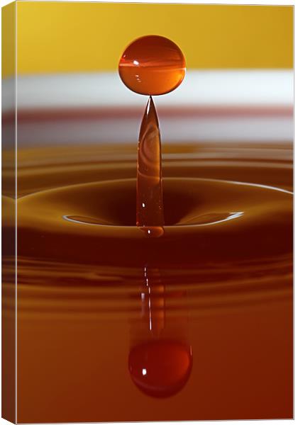 Water Droplet on a Point Canvas Print by Garry Neesam